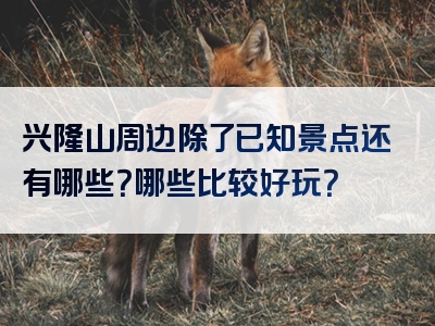兴隆山周边除了已知景点还有哪些？哪些比较好玩？