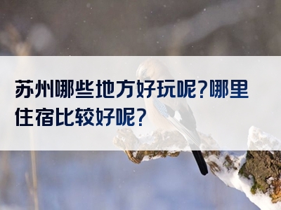 苏州哪些地方好玩呢？哪里住宿比较好呢？