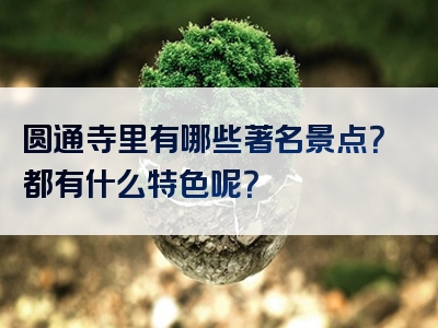 圆通寺里有哪些著名景点?都有什么特色呢?