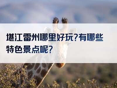 堪江雷州哪里好玩？有哪些特色景点呢？