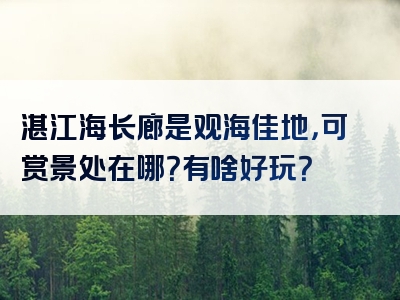 湛江海长廊是观海佳地，可赏景处在哪？有啥好玩？
