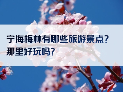宁海梅林有哪些旅游景点？那里好玩吗？