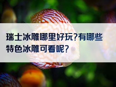 瑞士冰雕哪里好玩？有哪些特色冰雕可看呢？