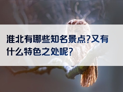 淮北有哪些知名景点？又有什么特色之处呢？