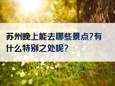 苏州晚上能去哪些景点？有什么特别之处呢？