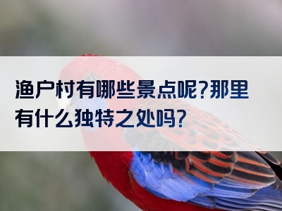 渔户村有哪些景点呢？那里有什么独特之处吗？
