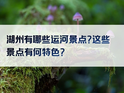 湖州有哪些运河景点？这些景点有何特色？