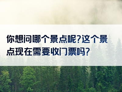 你想问哪个景点呢？这个景点现在需要收门票吗？