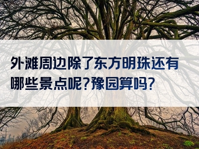 外滩周边除了东方明珠还有哪些景点呢？豫园算吗？