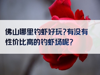 佛山哪里钓虾好玩？有没有性价比高的钓虾场呢？