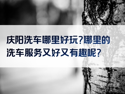 庆阳洗车哪里好玩？哪里的洗车服务又好又有趣呢？