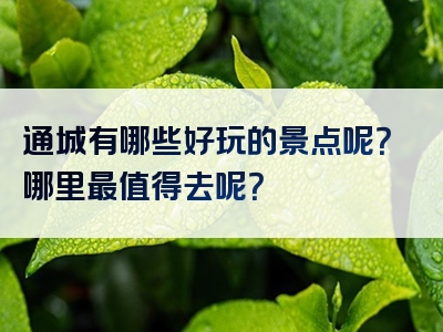 通城有哪些好玩的景点呢？哪里最值得去呢？