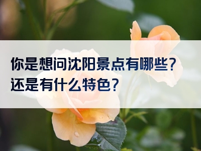 你是想问沈阳景点有哪些？还是有什么特色？