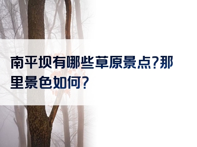 南平坝有哪些草原景点？那里景色如何？