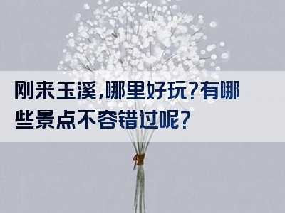 刚来玉溪，哪里好玩？有哪些景点不容错过呢？