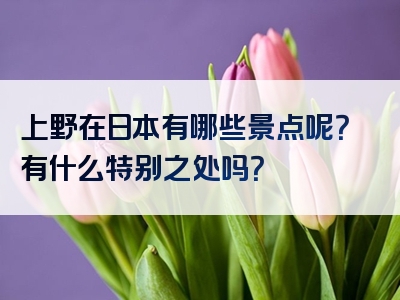 上野在日本有哪些景点呢？有什么特别之处吗？