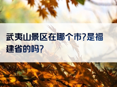 武夷山景区在哪个市？是福建省的吗？