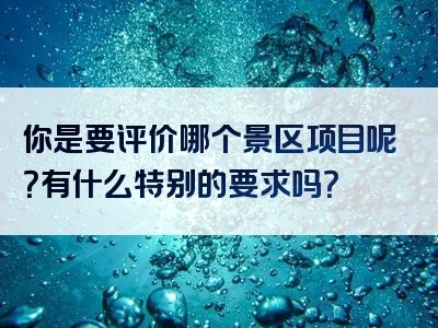 你是要评价哪个景区项目呢？有什么特别的要求吗？