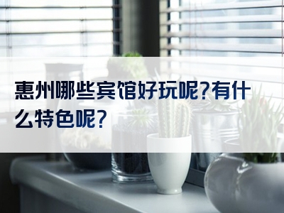 惠州哪些宾馆好玩呢？有什么特色呢？