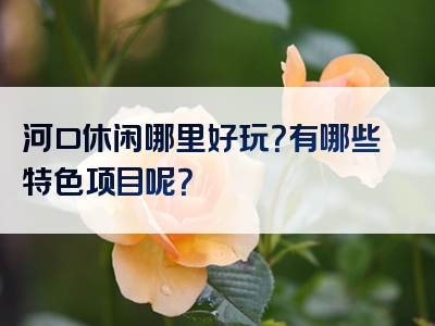 河口休闲哪里好玩？有哪些特色项目呢？