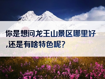 你是想问龙王山景区哪里好，还是有啥特色呢？