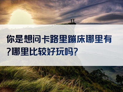 你是想问卡路里蹦床哪里有？哪里比较好玩吗？
