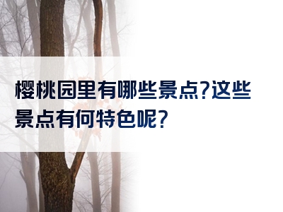 樱桃园里有哪些景点？这些景点有何特色呢？