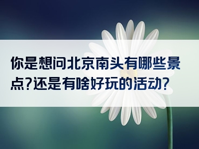 你是想问北京南头有哪些景点？还是有啥好玩的活动？