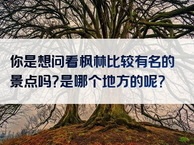 你是想问看枫林比较有名的景点吗？是哪个地方的呢？