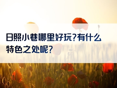 日照小巷哪里好玩？有什么特色之处呢？