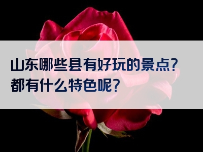 山东哪些县有好玩的景点？都有什么特色呢？