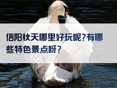信阳秋天哪里好玩呢？有哪些特色景点呀？
