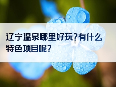 辽宁温泉哪里好玩？有什么特色项目呢？