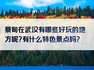 蔡甸在武汉有哪些好玩的地方呢？有什么特色景点吗？