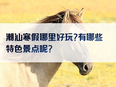 潮汕寒假哪里好玩？有哪些特色景点呢？