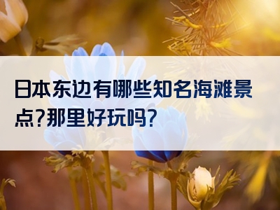 日本东边有哪些知名海滩景点？那里好玩吗？