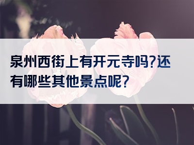 泉州西街上有开元寺吗？还有哪些其他景点呢？