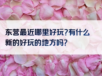 东营最近哪里好玩？有什么新的好玩的地方吗？