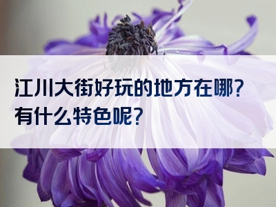 江川大街好玩的地方在哪？有什么特色呢？