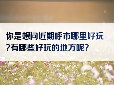 你是想问近期呼市哪里好玩？有哪些好玩的地方呢？