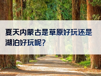 夏天内蒙古是草原好玩还是湖泊好玩呢？