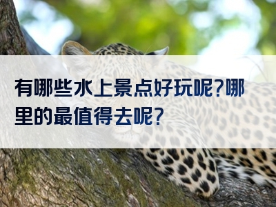 有哪些水上景点好玩呢？哪里的最值得去呢？