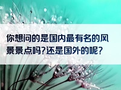 你想问的是国内最有名的风景景点吗？还是国外的呢？