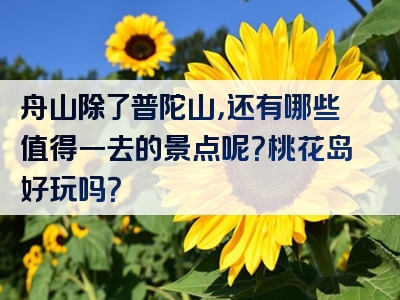 舟山除了普陀山，还有哪些值得一去的景点呢？桃花岛好玩吗？