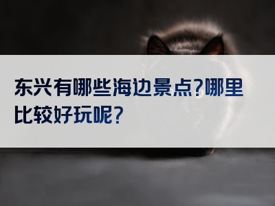 东兴有哪些海边景点？哪里比较好玩呢？
