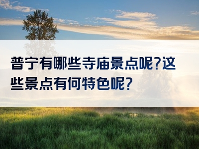 普宁有哪些寺庙景点呢？这些景点有何特色呢？