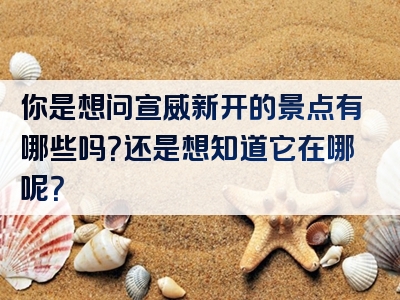 你是想问宣威新开的景点有哪些吗？还是想知道它在哪呢？