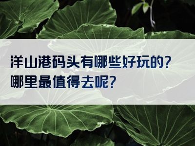 洋山港码头有哪些好玩的？哪里最值得去呢？