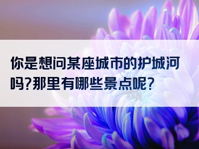 你是想问某座城市的护城河吗？那里有哪些景点呢？