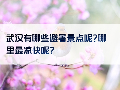 武汉有哪些避暑景点呢？哪里最凉快呢？